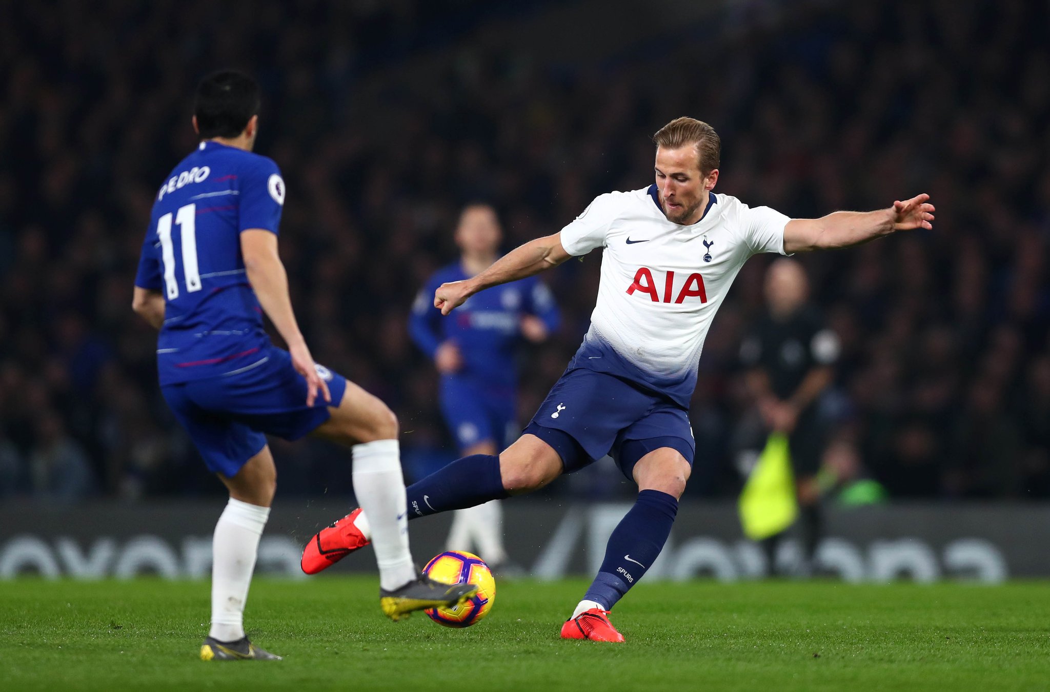 本赛季球队 本赛季球队